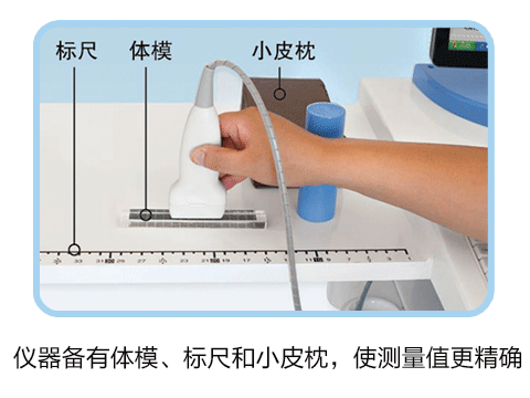 骨密度细节3