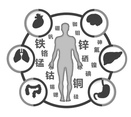 浅谈全自动微量元素分析仪对生物机体的分析