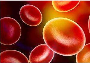 如何验收血细胞分析仪