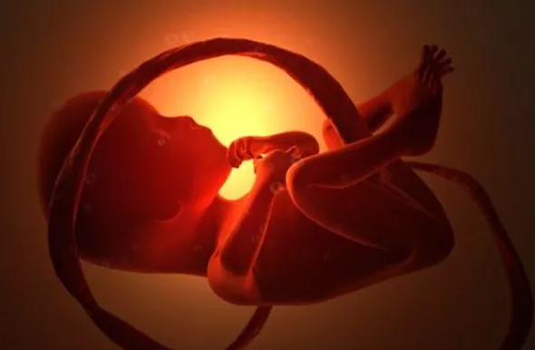 全自动母乳分析仪探讨如孕期缺氧的危害，如何预防孕期缺